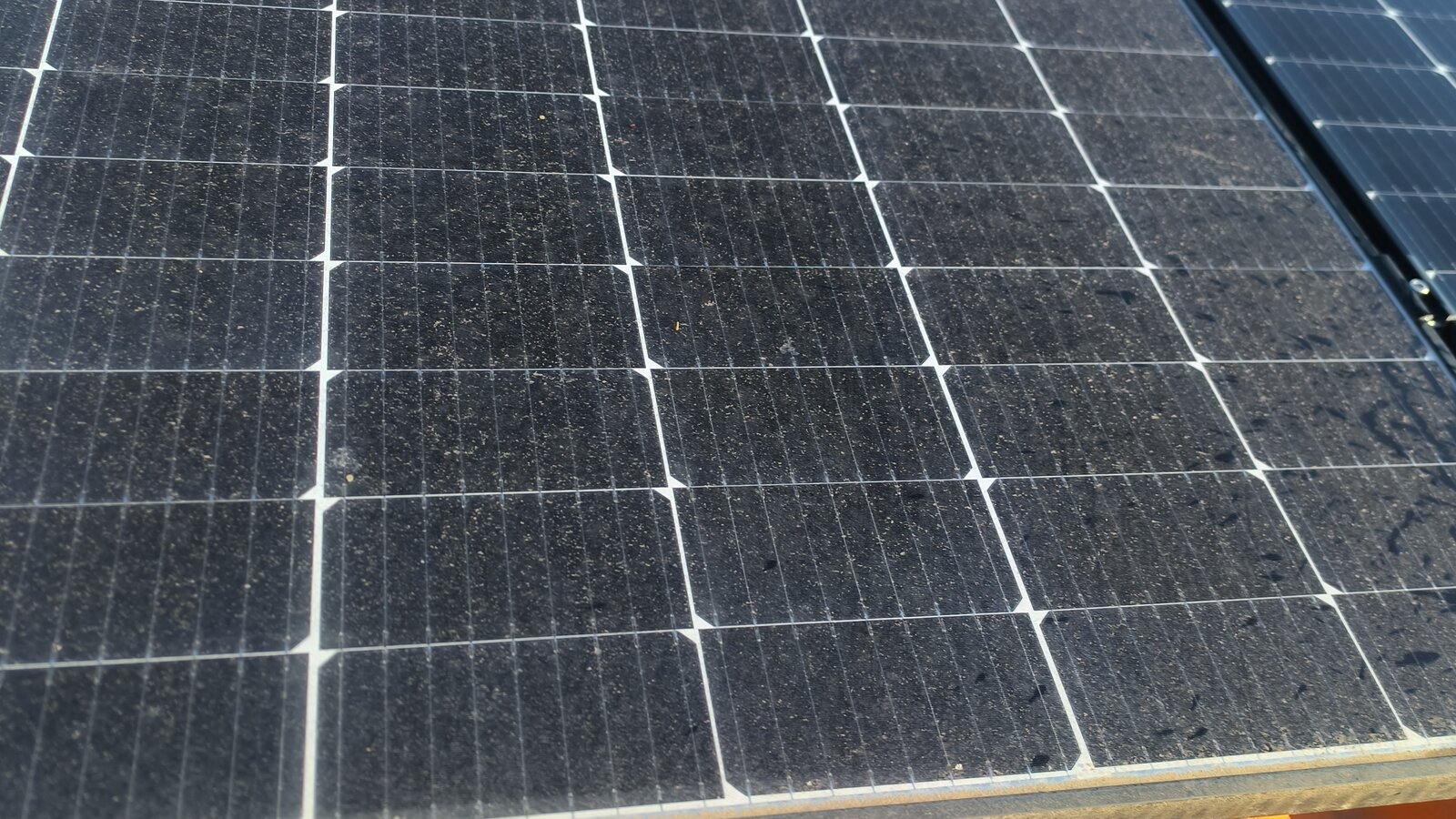 Panneaux photovoltaïques avant nettoyage